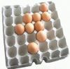 egg tray/egg packaging...