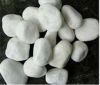 White pebbles seller