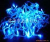 LED rope light, net li...