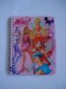 loose-leaf book