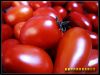 tomato paste (origin X...