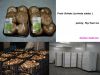 Fresh Mushroom, Shiita...