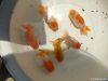 Ranchu Goldfish