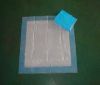 disposable  absorbent ...