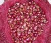 small red onion