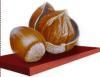 Hazelnut Kernel from G...