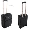 black luggage with str...
