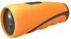 Diving DVR with Flashl...