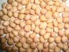 Peanut Kernels