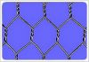 Hexagonal wire mesh