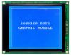 STN LCD Module