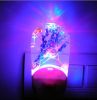 LED Night Light