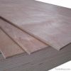 Furniture Plywood