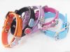 Dog Neck Belts / Collars / Straps, Pet Collar