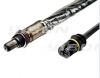 OXYGEN SENSORS
