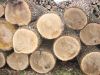 Round logs