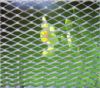 Expanded plate mesh