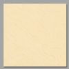 Polished Tile
