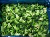 IQF organic broccoli f...