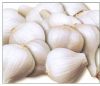 garlic ("china to...