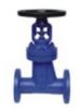 Bellow Gate Valve