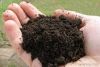 ORGANIC MANURE VERMI-C...