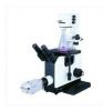XDS-1B inverted biolog...