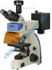 A-F1 flouorecent micro...