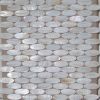 shell mosaic