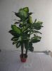 artifical plant, artif...