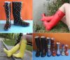 Various Ladies′ Rubber Rain Boots, Women Rubber Boots, Hi-Q Lady Rubber Boots, Cheap Woman Rubber Boots, Popular Women Boots