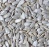 sun-flower seed kernel
