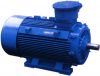 explosion proof motor