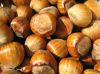 Inshell Hazelnuts