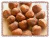 Raw Hazelnuts