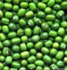 Green Mung Beans