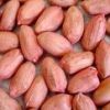 peanut kernels