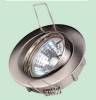 Ceiling Light(HJ-DL243)