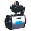 Pneumatic Actuator