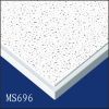 gypsum /plaster ceilin...