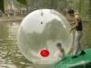 water walking ball