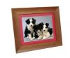 digital photo frame