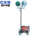Omnidirectional Large ...