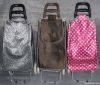 Foldable shopping trolley/shopping trolley bag