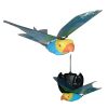 RC Bird