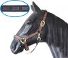 Nylon Halter With Pad