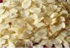 Light Yellow Garlic Fl...