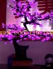 LED Miniascape Cherry ...