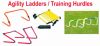 Agility and Speed Trai...