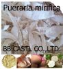 Pueraria mirifica, Tha...